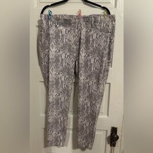 Terra & Sky Gray Snake Print Women Jeggings